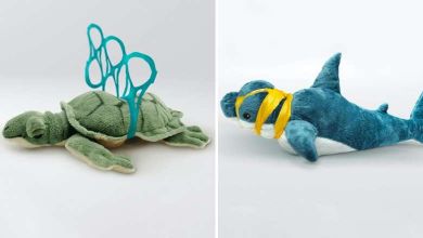 Pollution des Océans : 5 étudiants russes détournent des peluches Ikea pour sensibiliser les plus jeunes !