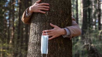 Les autorités islandaises invitent leurs concitoyens à prendre un arbre entre leurs bras, pour garder le moral...