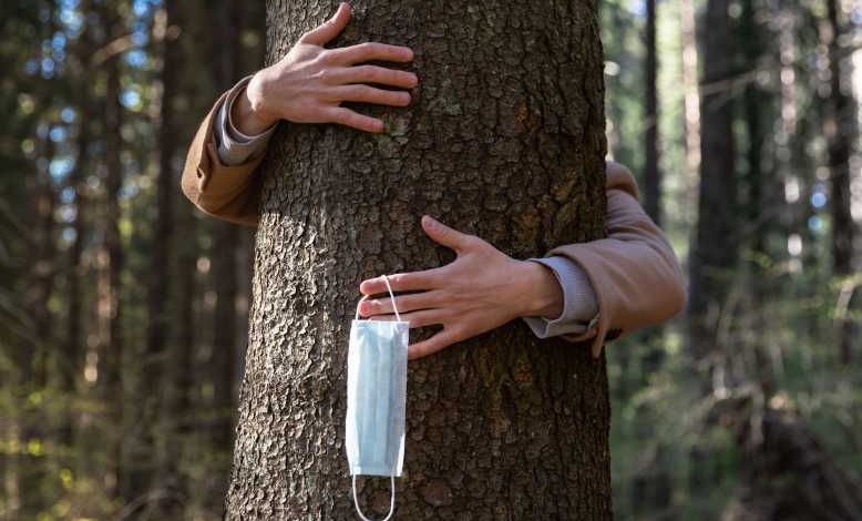 Les autorités islandaises invitent leurs concitoyens à prendre un arbre entre leurs bras, pour garder le moral...