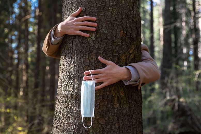 Les autorités islandaises invitent leurs concitoyens à prendre un arbre entre leurs bras, pour garder le moral...