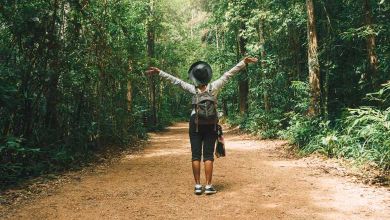 Une reforestation massive et anarchique pourrait avoir un effet néfaste sur l’environnement selon ces deux études