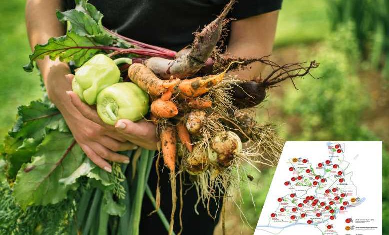 Face à la crise économique, la ville de Nantes devient un potager géant