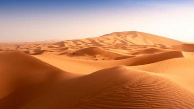 Pénurie de sable : pourquoi le sable du Sahara ne peut pas être utilisé pour la construction ?