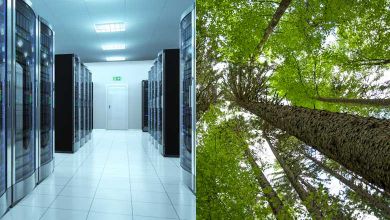 CLO2 : Et si on plantait des arbres pour réduire l'empreinte carbone des infrastructures Web ?