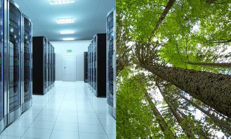 CLO2 : Et si on plantait des arbres pour réduire l'empreinte carbone des infrastructures Web ?