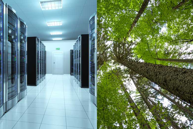 CLO2 : Et si on plantait des arbres pour réduire l'empreinte carbone des infrastructures Web ?