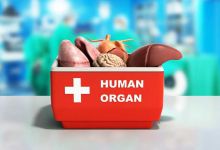 Le don d’organe : un sujet encore tabou