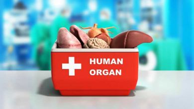Le don d’organe : un sujet encore tabou