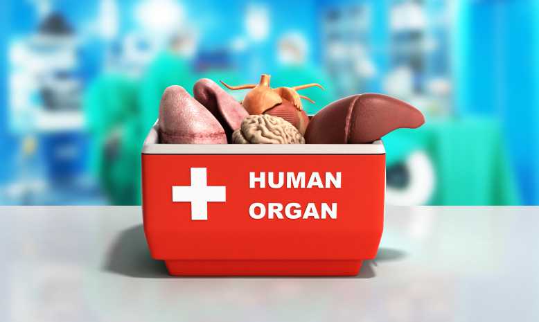 Le don d’organe : un sujet encore tabou