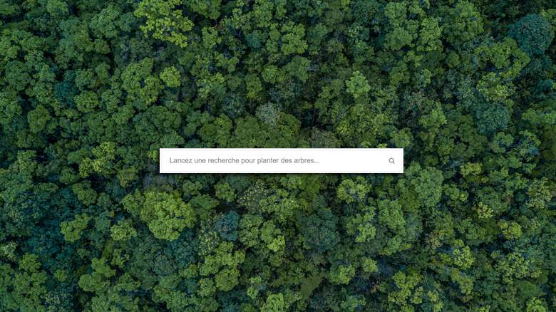 Ecosia annonce avoir planté 100 millions d'arbres depuis sa création en 2019 !