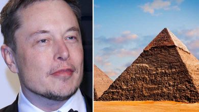 Elon Musk affirme que les pyramides égyptiennes sont l'oeuvre des extra-terrestres...