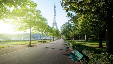 Les mini-forêts dans les villes seraient une solution pour lutter contre les températures caniculaires