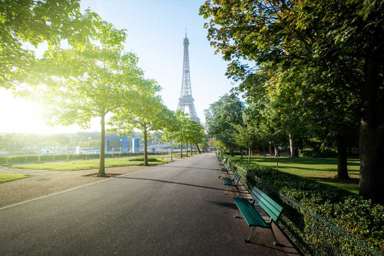 Les mini-forêts dans les villes seraient une solution pour lutter contre les températures caniculaires