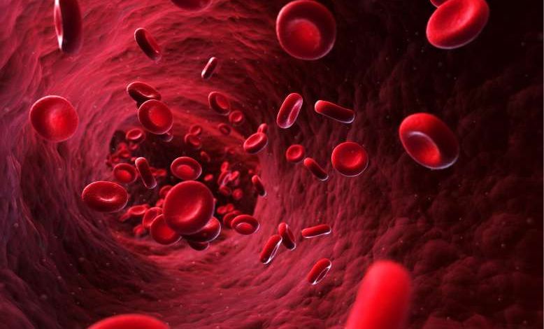 Incroyable ! Des chercheurs ont réussi à concevoir des globules rouges synthétiques, fonctionnels et "plus performants"