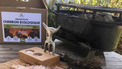 GreenBBQ, un nouveau type de "charbon de bois" écologique à base de coque de noisettes !