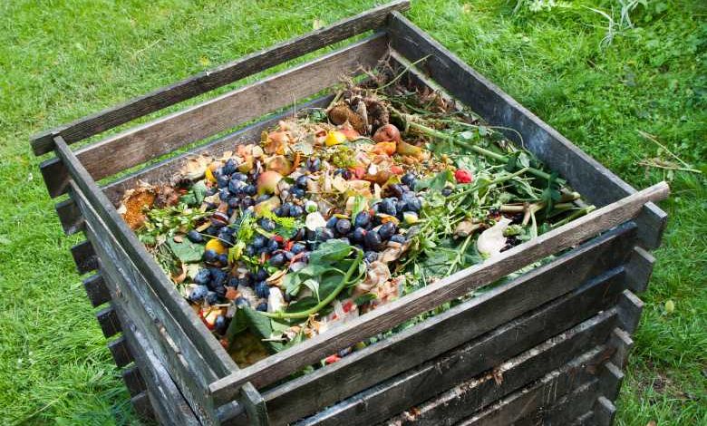 Le saviez-vous ? Ces 10 produits et déchets sont parfaitement compostables !
