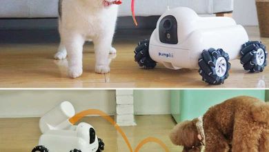 Pumpkii : un robot de compagnie pour votre animal de compagnie (il nettoie aussi la litière de votre chat)