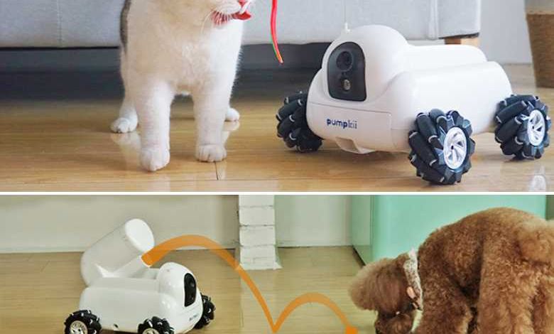 Pumpkii : un robot de compagnie pour votre animal de compagnie (il nettoie aussi la litière de votre chat)