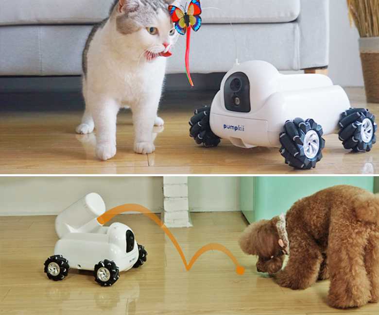 Pumpkii : un robot de compagnie pour votre animal de compagnie (il nettoie aussi la litière de votre chat)