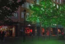 En France, les rues pourraient bientôt être éclairées… avec des plantes !