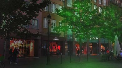 En France, les rues pourraient bientôt être éclairées… avec des plantes !