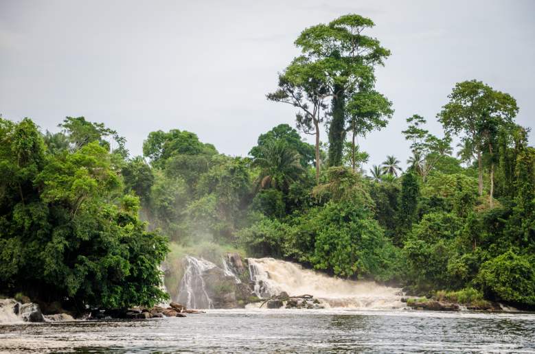 Le gouvernement camerounais abandonne définitivement l'idée d'exploiter 68 000 hectares de la forêt d'Ebo !