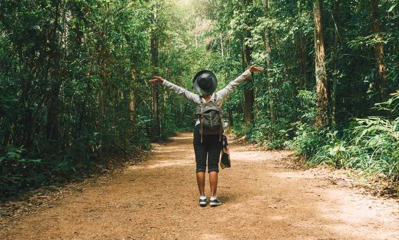 La Thaïlande veut fermer ses parcs nationaux deux à quatre mois par an pour préserver les ressources naturelles