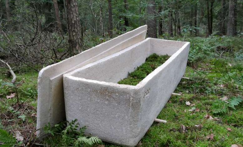 Ecologie : il est désormais possible se faire enterrer dans un "cercueil vivant"