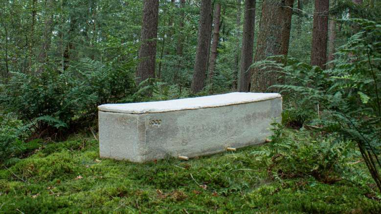 Ecologie : il est désormais possible se faire enterrer dans un "cercueil vivant"