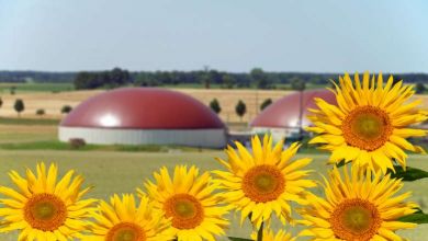 Budget Participatif : SEVALOR à besoin de vous pour soutenir son projet de méthanisation agricole