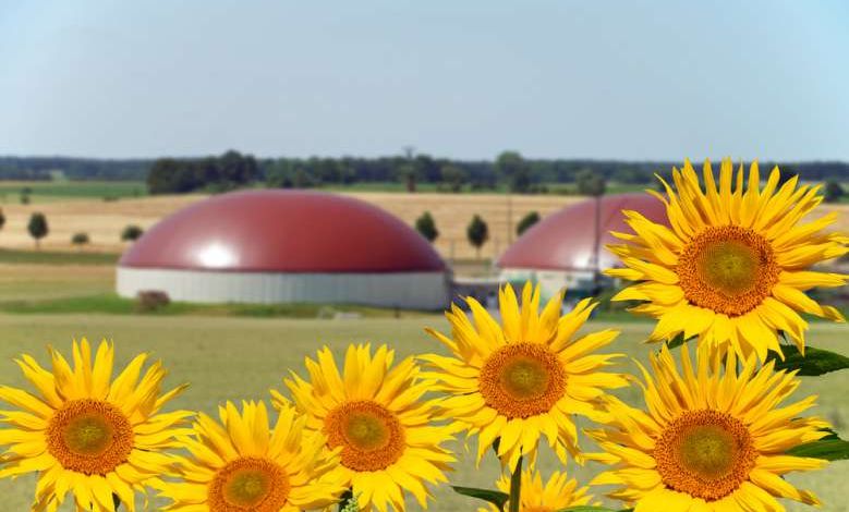 Budget Participatif : SEVALOR à besoin de vous pour soutenir son projet de méthanisation agricole