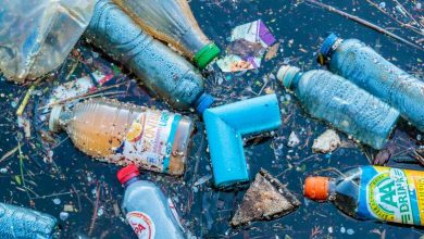 Un jeune irlandais invente "un aimant à plastique" pour dépolluer les océans
