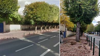 Caen : la ville redonne de l'air aux arbres en les débarrassant du bitume qui les entoure !