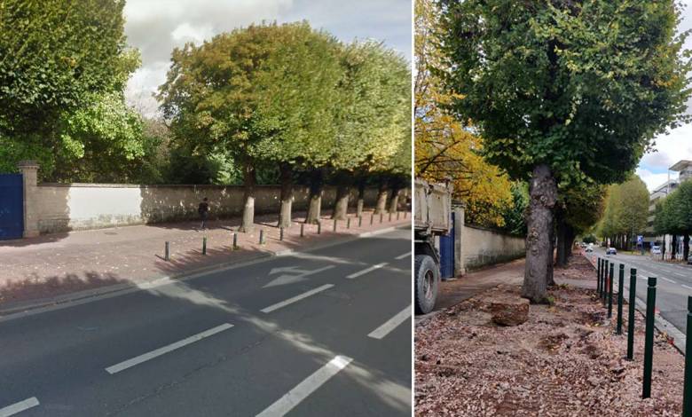 Caen : la ville redonne de l'air aux arbres en les débarrassant du bitume qui les entoure !