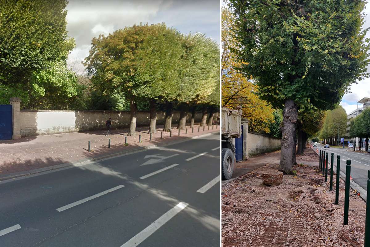 Caen : la ville redonne de l'air aux arbres en les débarrassant du bitume qui les entoure !