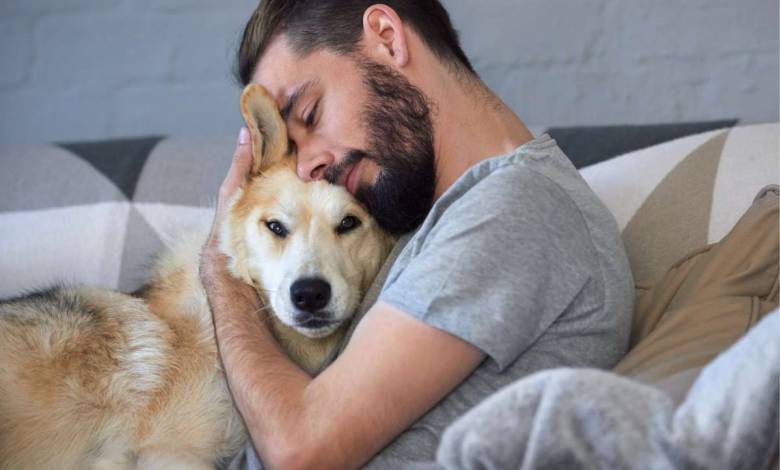 Dire "je t'aime" à son chien augmente son rythme cardiaque, le caresser le ferait descendre selon cette étude