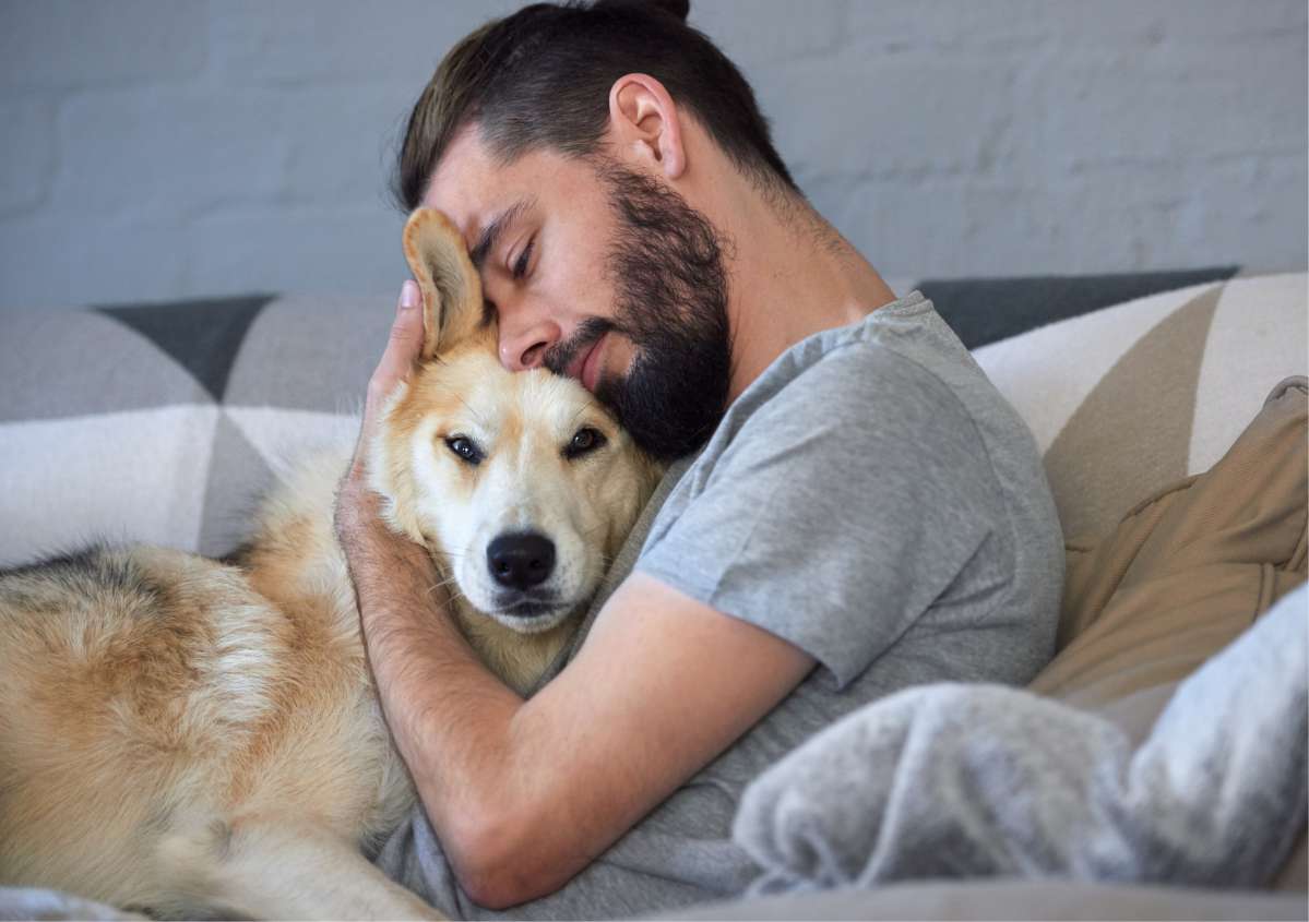 Dire "je t'aime" à son chien augmente son rythme cardiaque, le caresser le ferait descendre selon cette étude