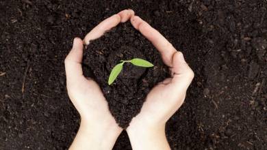 Faire du compost en appartement, c'est tout à fait possible et très facile !