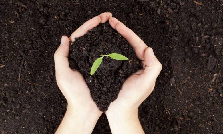 Faire du compost en appartement, c'est tout à fait possible et très facile !