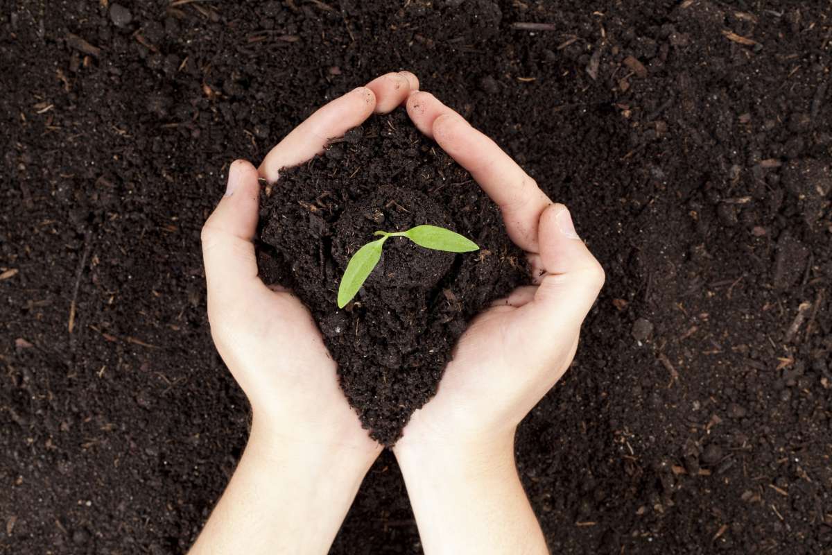 Faire du compost en appartement, c'est tout à fait possible et très facile !