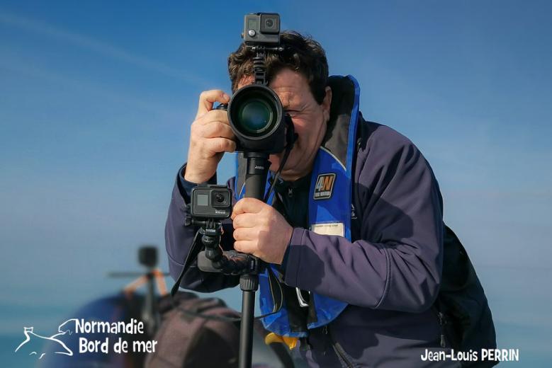 Portrait : Découvrez les magnifiques images de Jean Louis Perrin, observateur de dauphins en Normandie