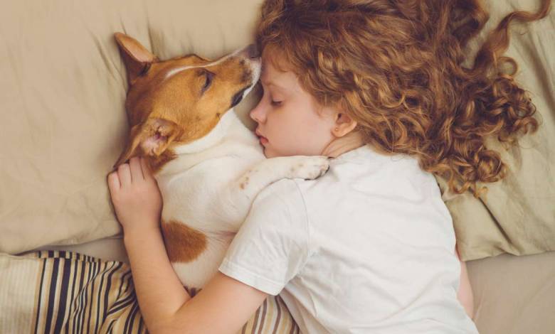 On vous donne 5 bonnes raisons de laisser votre chien dormir auprès de vous !