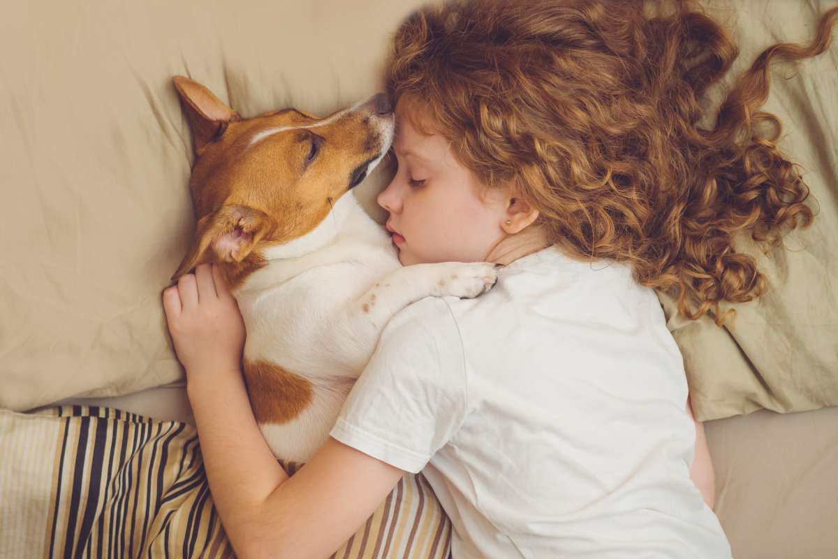 On vous donne 5 bonnes raisons de laisser votre chien dormir auprès de vous !