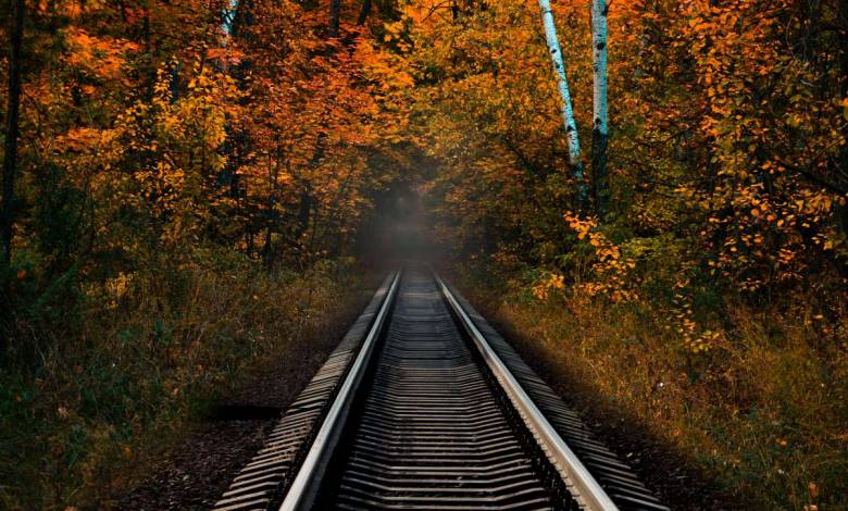 Saviez-vous qu'il existait une "gare fantôme" au coeur de la Forêt de Fontainebleau ?