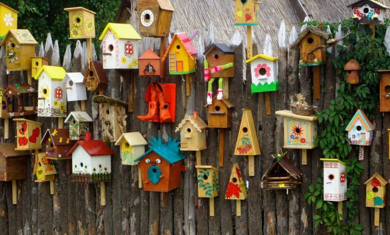 Nourrir les oiseaux du jardin c'est plutôt une bonne idée, mais il ne faut pas faire n'importe quoi !