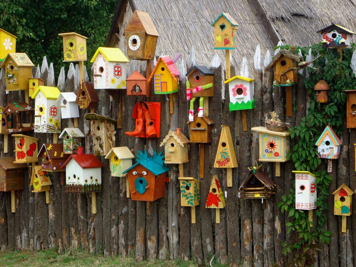 Nourrir les oiseaux du jardin c'est plutôt une bonne idée, mais il ne faut pas faire n'importe quoi !