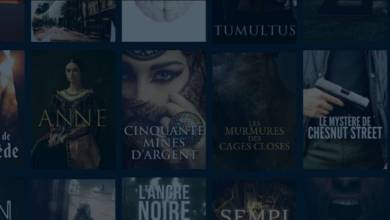 Découvrez l'application ROCAMBOLE, le Netflix des séries littéraires françaises !