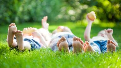 Les aires de jeux naturelles (avec des plantes et de la terre) renforceraient les défenses immunitaires des enfants