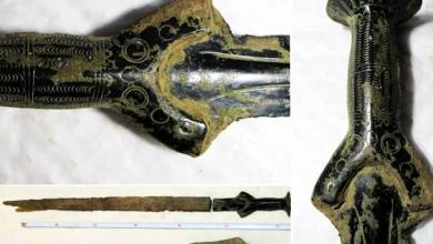 Il part cueillir des champignons et finit par découvrir une magnifique épée de l’Age de bronze vieille de 3 300 ans