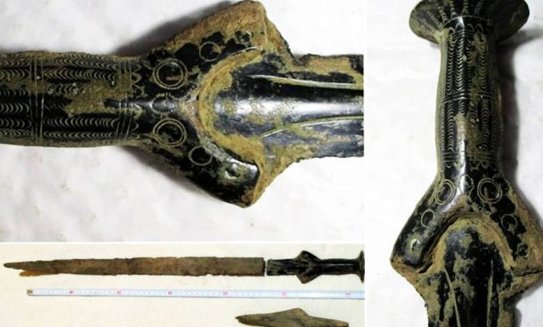 Il part cueillir des champignons et finit par découvrir une magnifique épée de l’Age de bronze vieille de 3 300 ans